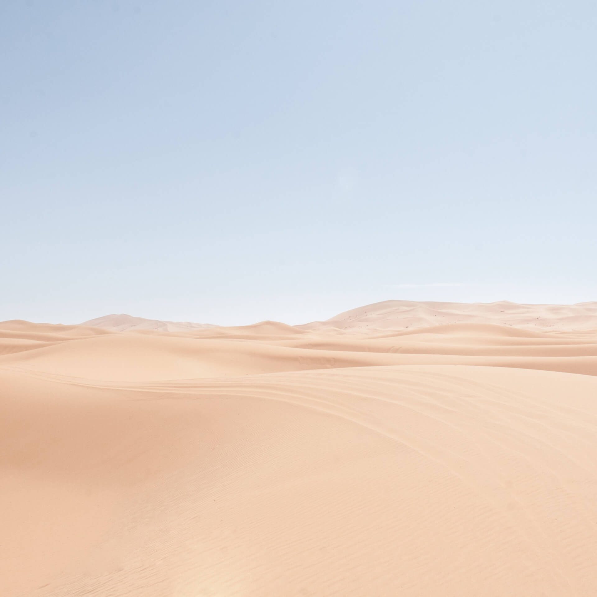 landscape 02.jpg