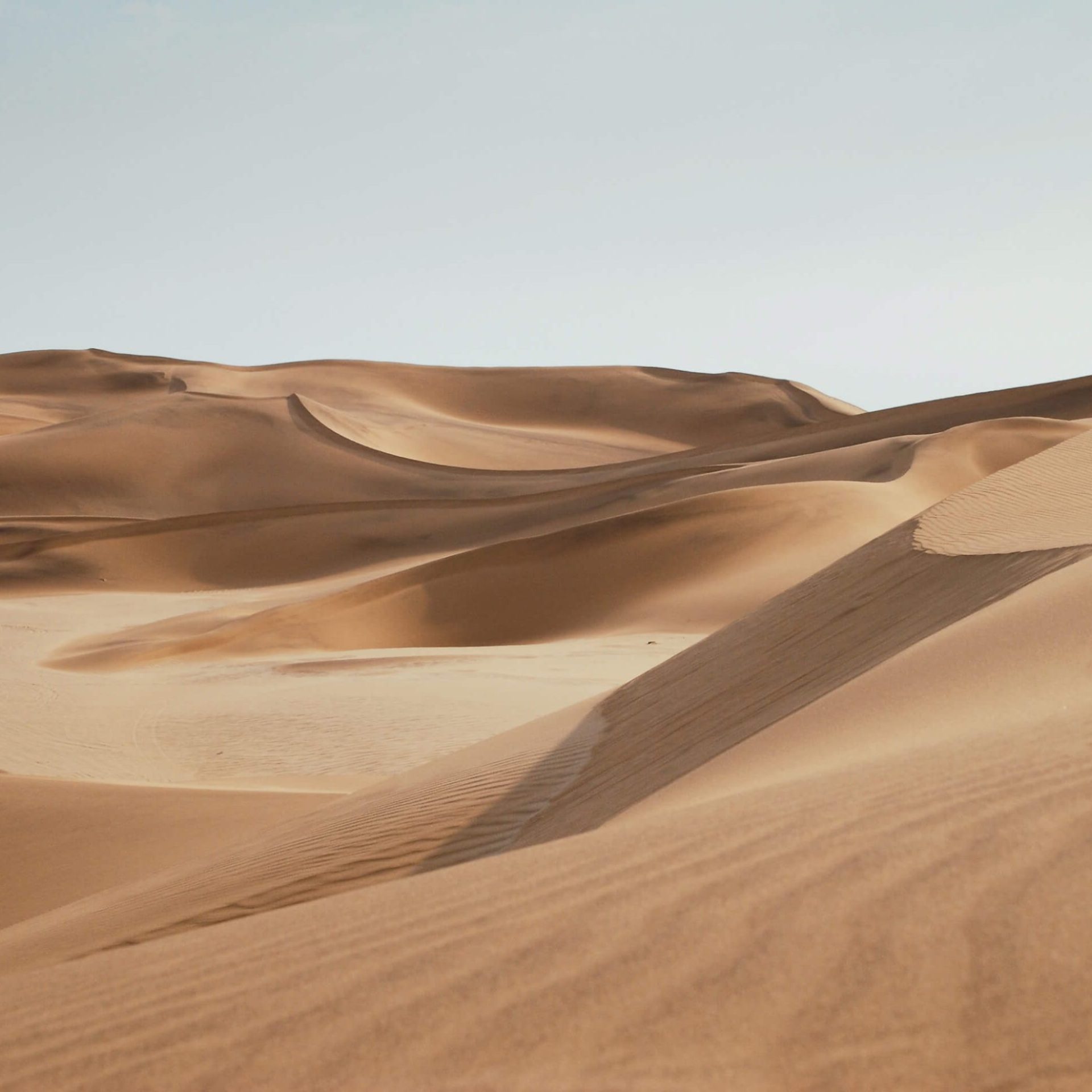 landscape 10.jpg